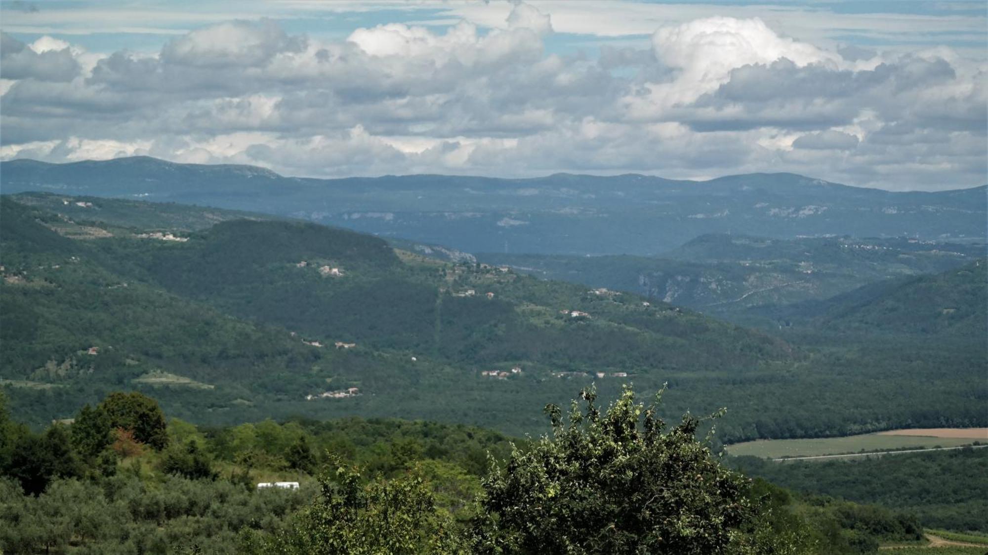 فيلا Terra Mirna Vižinada المظهر الخارجي الصورة